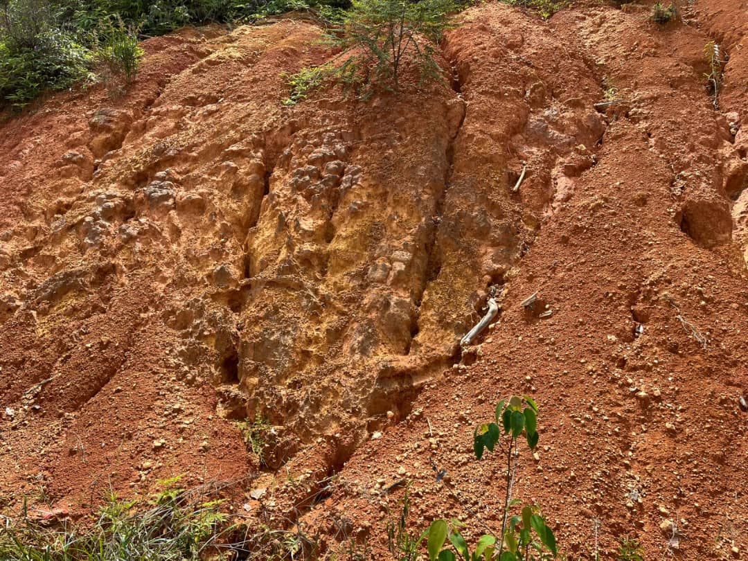 Gold and bauxite mining 21